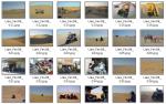 Album photo trois Raptors dans les dunes des Emirats
