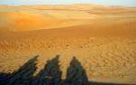 Ombre des 700 Raptor sur les dunes